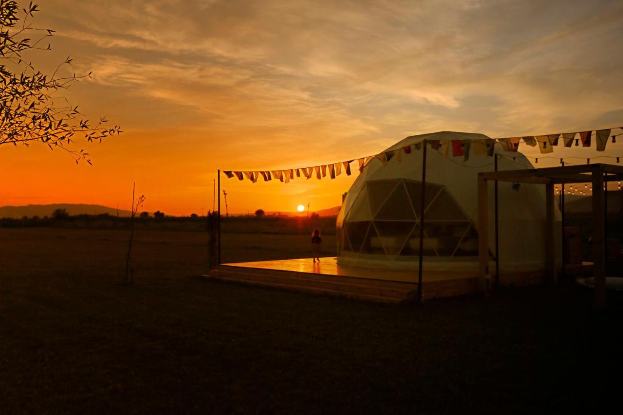 Jewelberry Glamping Hotel Tbilisi Mtsʼkhetʼa 外观 照片