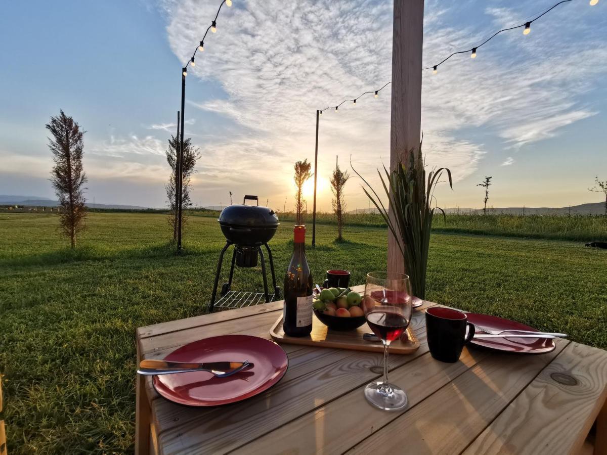 Jewelberry Glamping Hotel Tbilisi Mtsʼkhetʼa 外观 照片