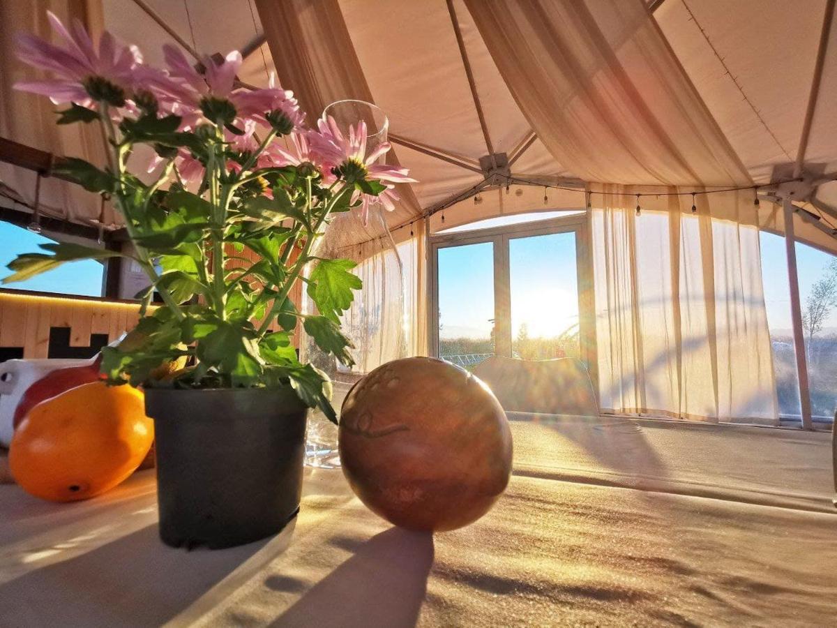 Jewelberry Glamping Hotel Tbilisi Mtsʼkhetʼa 外观 照片